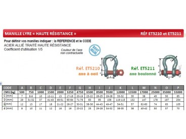 Manille lyre "HAUTE RESISTANCE"